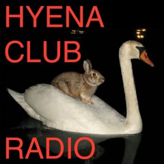 Sonic Odyssey with Bora Kim (Hyena Club Radio) 03.20.24 | VISLA FM
