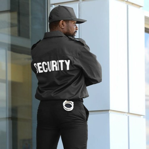 Stream episode What Are the Typical Costs of Hiring Security Guards? by