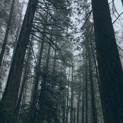 Moonshiner (Bob Dylan x Cat Power)