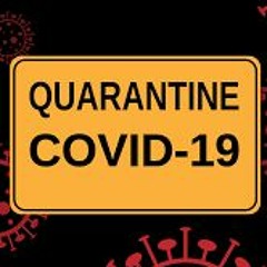 One Night During Quarantine... - So You Like House Ep. 40