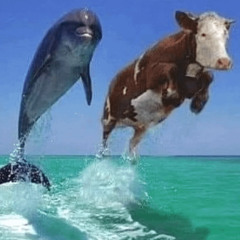 НА ДЕЛЬФИНАХ ПО ЕВРОnaMmMMM