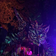 DLZ b2b Phillinger | Mystic Creatures 25 | Freaky Forest