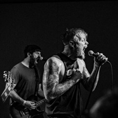 Wolves at the gate - The bird and the snake