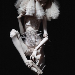 Follow The White Rabbit