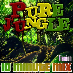 Pure Oldskool Jungle + DnB 10 Minute Mix