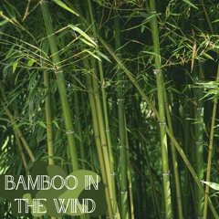Bamboo in the Wind
