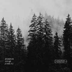 (PROMO MIX) Linaje [EMRL031] by RVDMNTL