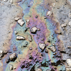 the surface (disquiet0676)