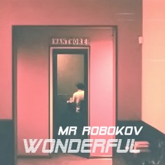 05 Mr Robokov - Wonderful