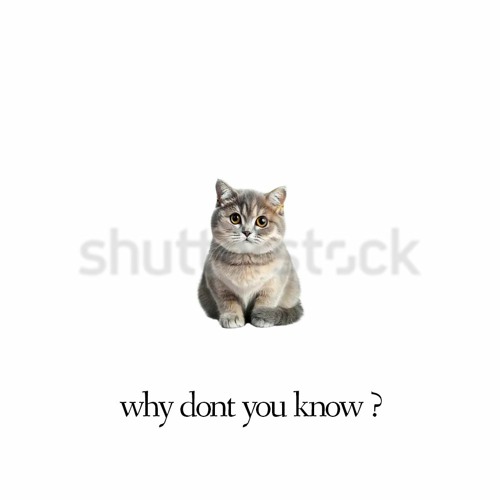 Why Dont U Know? (prod. Longboystyle)