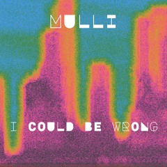 MULLI - I COULD BE WRONG