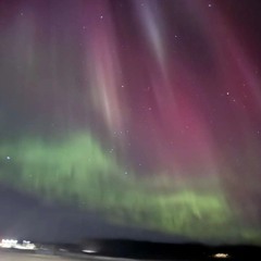 oxycodone w grantgnarly (glossalia)