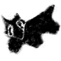 09-19-2024 ~ Furpocalypse 2024 demo mix