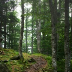 Journey to the Interior 2