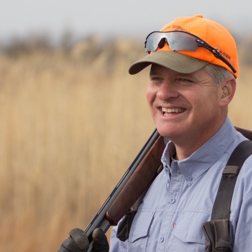 Stream Episode 33 Pete Delkusthe Quail Hunting Weatherman by Rolling