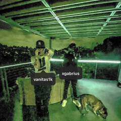 Luv Money (Prod. Gabrius)