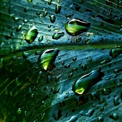 Rain Water a special Mix by Michel Heukrodt