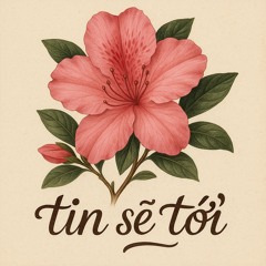 tin sẽ tới v7