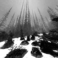 remembering oct. clips *zelkova, nyli, yk, naoya, virusdies