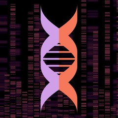 Two Decades Beyond The First Full Map Of Human DNA