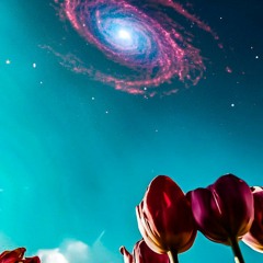 Out Of Bloom : Churippu Edition