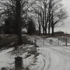 snakes under my bed,  i got bit on my ankle last night