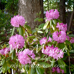 May Musings