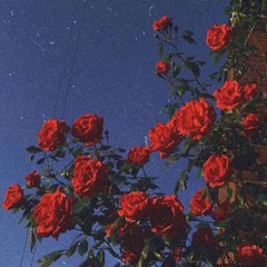 Summer Mix V2
