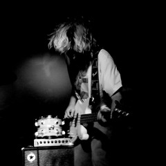 7. Fun Balloon Animals - It's Alive! (PMR Sampler)