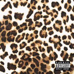 CHEETAH PRINT
