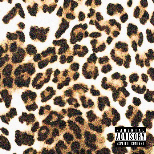 CHEETAH PRINT