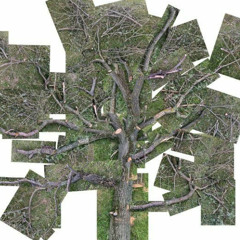 chop ur head off like a tree trunk [ctckr lofi remix]