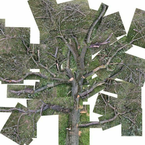 chop ur head off like a tree trunk [ctckr lofi remix]