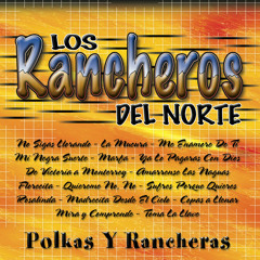 Stream Los Rancheros del Norte music | Listen to songs, albums
