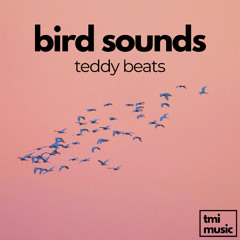 Teddy Beats - Bird Sounds