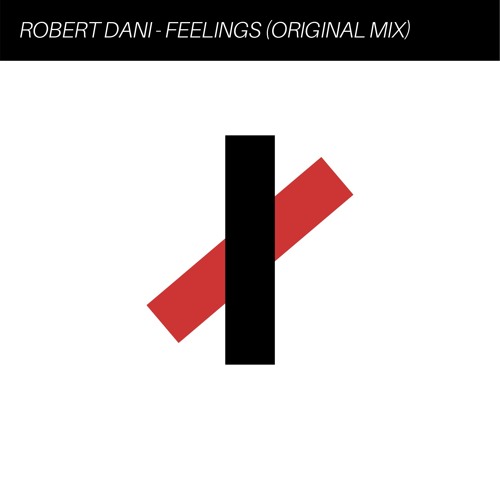 Robert Dani - Feelings (Original Mix)