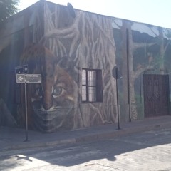 #86 (A La Venta 🔥)