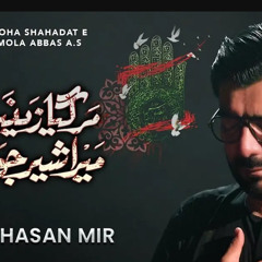 Mar Gaya Zainab Mera Sher e Jawan _ Mir Hasan Mir Nohay 2024 _ Muharram 2024-1446.mp3