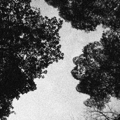 every leaf a possibility