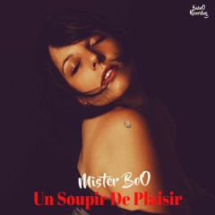 Un Soupir De Plaisir [ FREE LOFI MUSIC ]