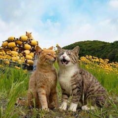 GERHANA DALAM CINTA  _  Arief & Ovhi Firsty