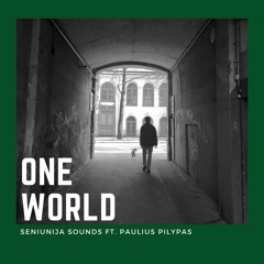 ONE WORLD Paulius Pilypas Feat. Seniunija Sounds