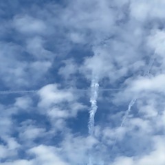 Make No Sense [p. Sir Leo III]