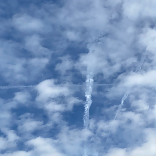 Make No Sense [p. Sir Leo III]