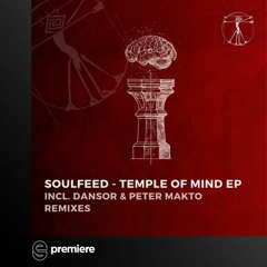 Premiere: Soulfeed - Temple of Mind (Dansor Remix) - Zenebona