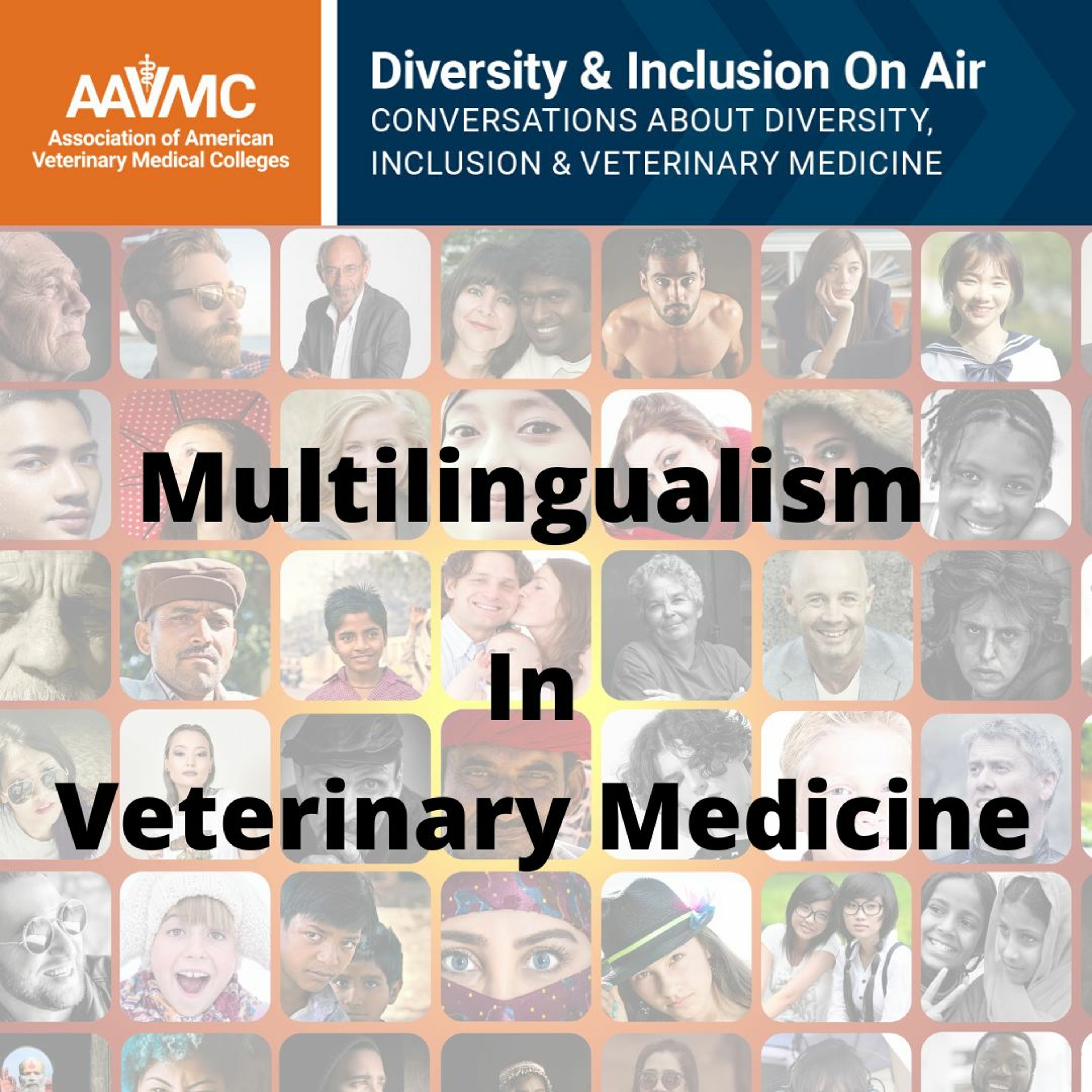 AAVMC\'s On Air: Conversations about Issues in Veterinary Medicine