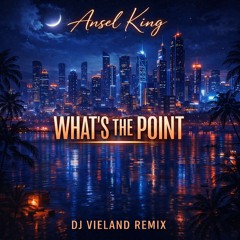 Ansel King - What's the Point (DJ Vieland Remix)