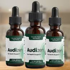 audizen