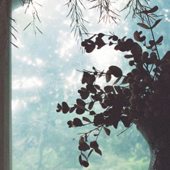 অরি, তোর জন্য