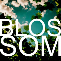 Blossom by FWODY - Oblong Square Records Re-Release